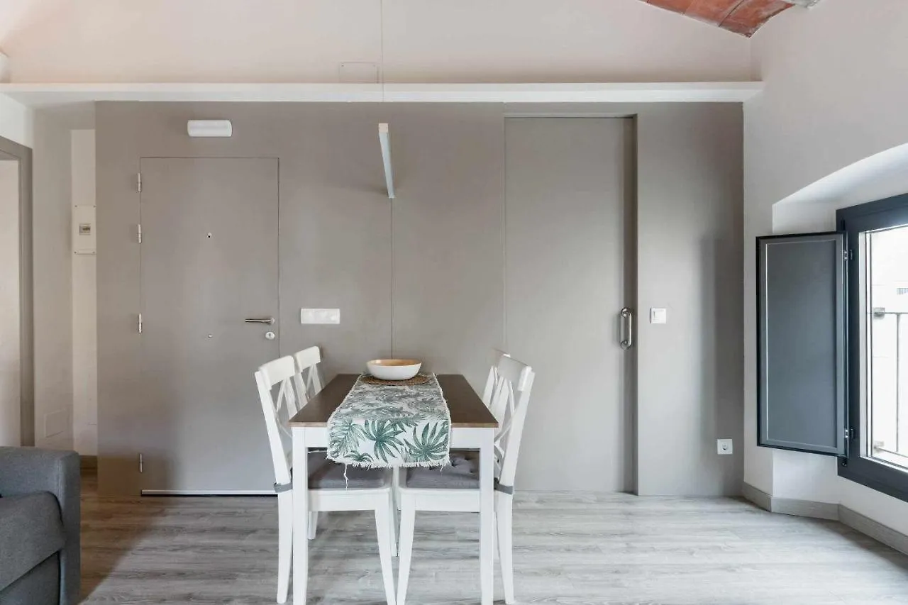 Revitalized Apartment In Historical Building Gerona España